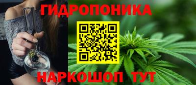 PSILOCYBIN Боровичи