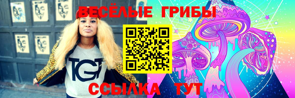 Псилоцибиновые грибы Magic Shrooms Карпинск