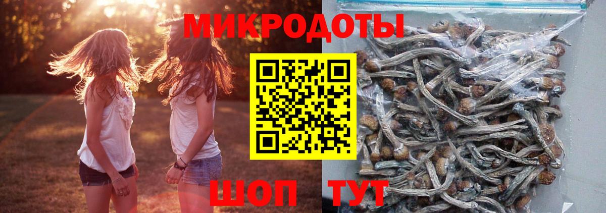 где продают   Вход с VPN  Карпинск  Галлюциногенные грибы MAGIC MUSHROOMS 